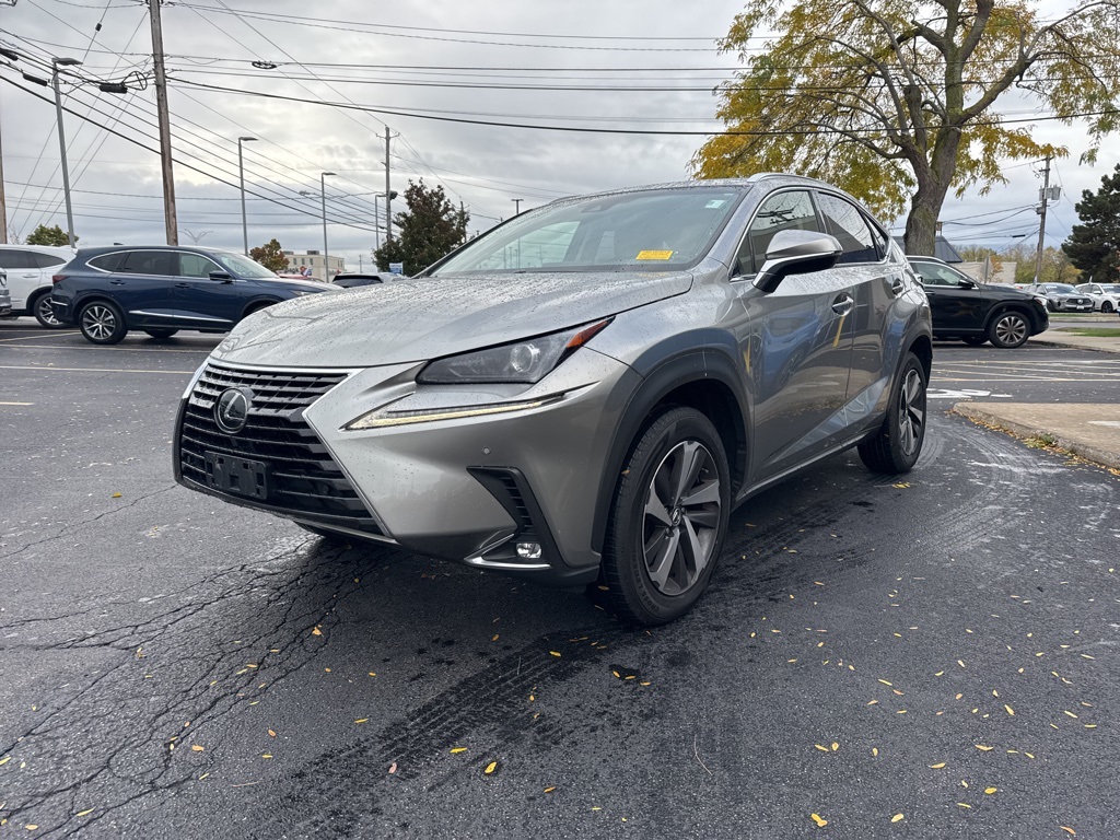 2019 Lexus NX 300 Luxury photo 2