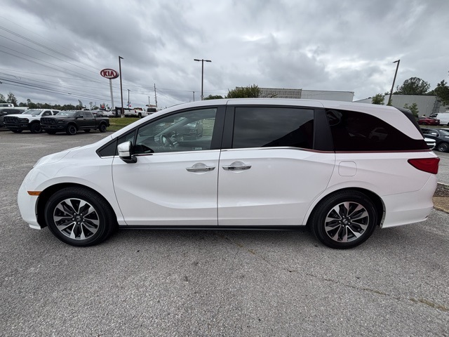 2024 Honda Odyssey EX-L photo 3