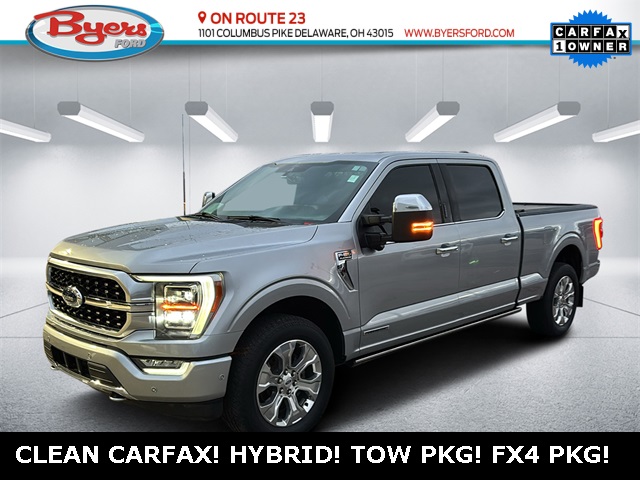 2021 Ford F-150 Platinum's photo