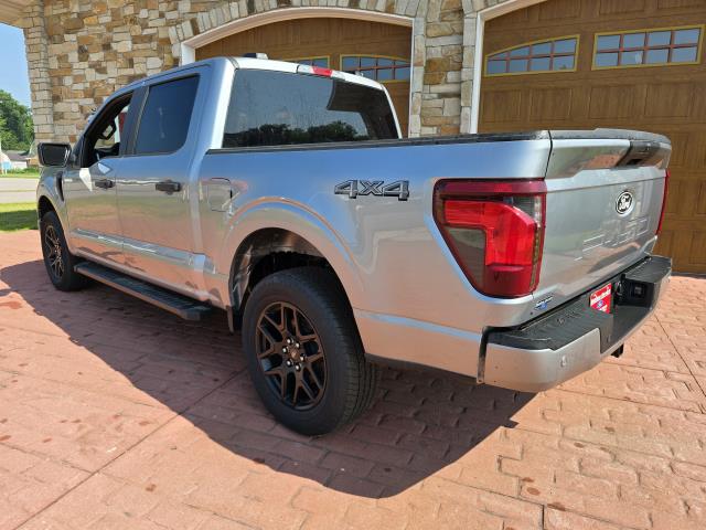 2025 Ford F-150 STX photo 5