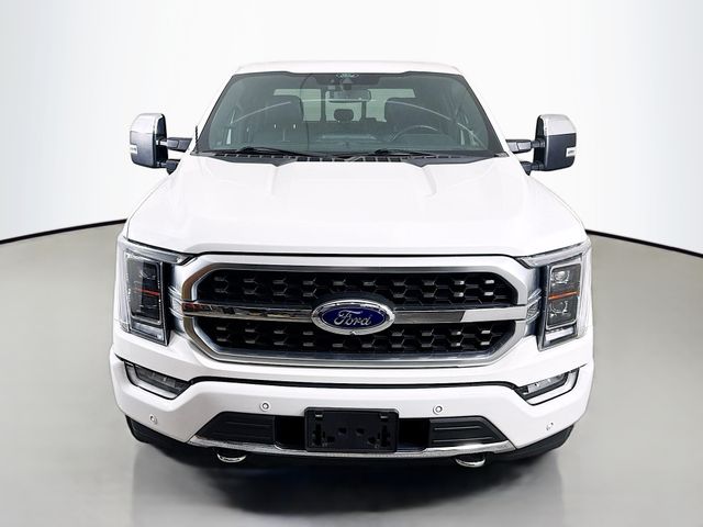 2021 Ford F-150 Platinum photo 2