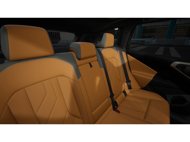2026 Bmw X3 photo 9
