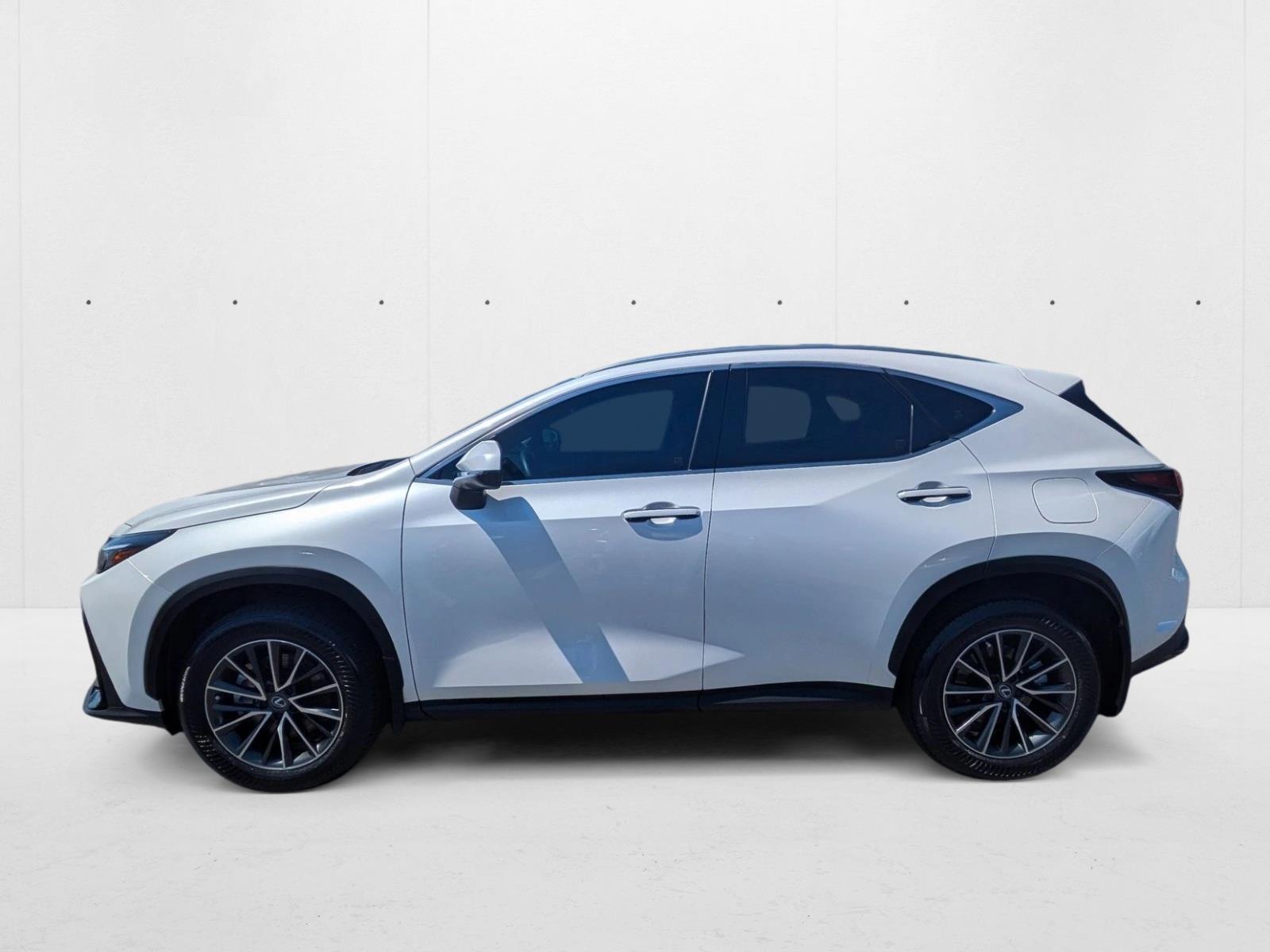2024 Lexus NX 350h Premium AWD photo 8