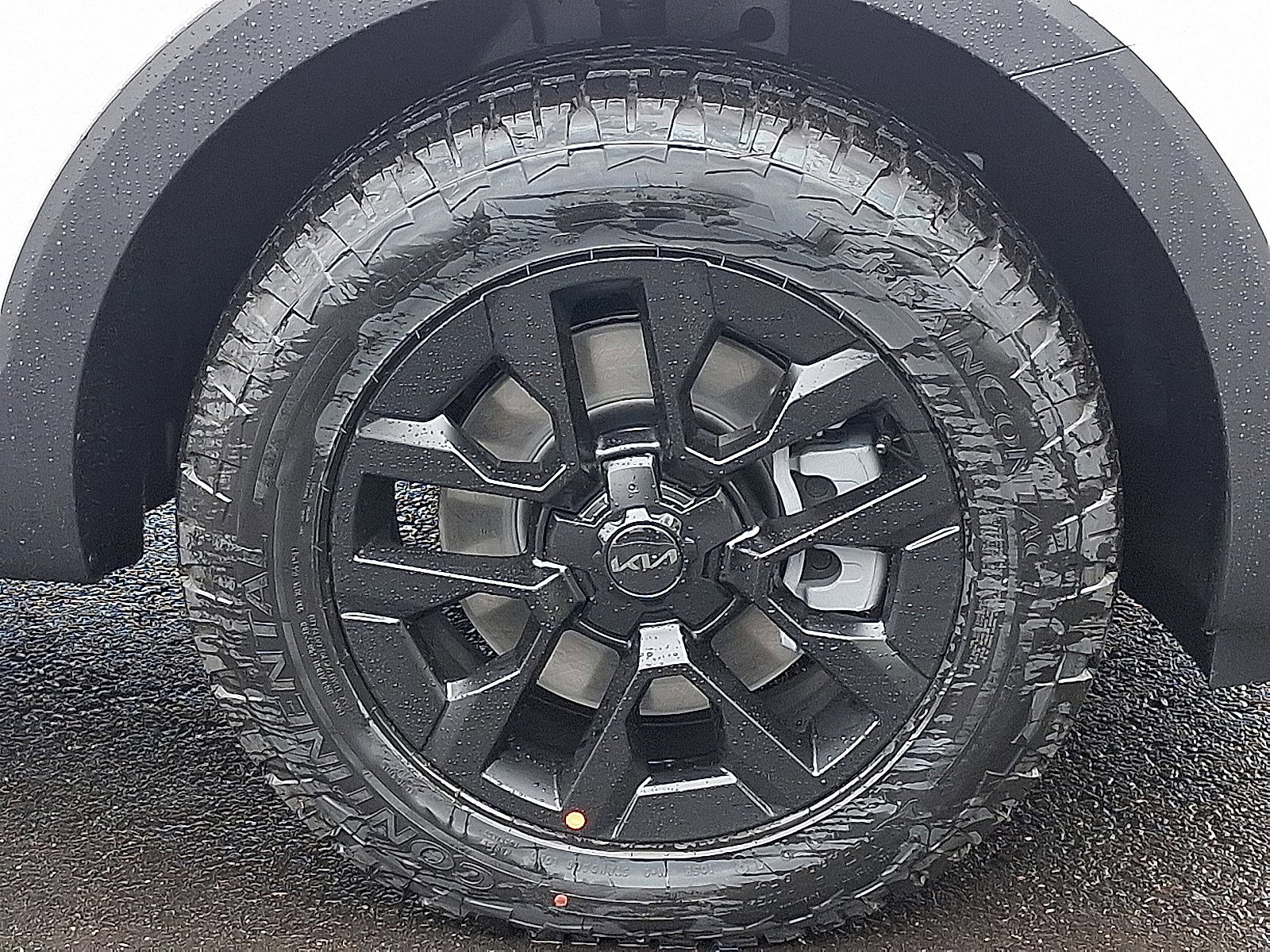 2025 Kia Telluride SX Prestige X-Pro photo 9