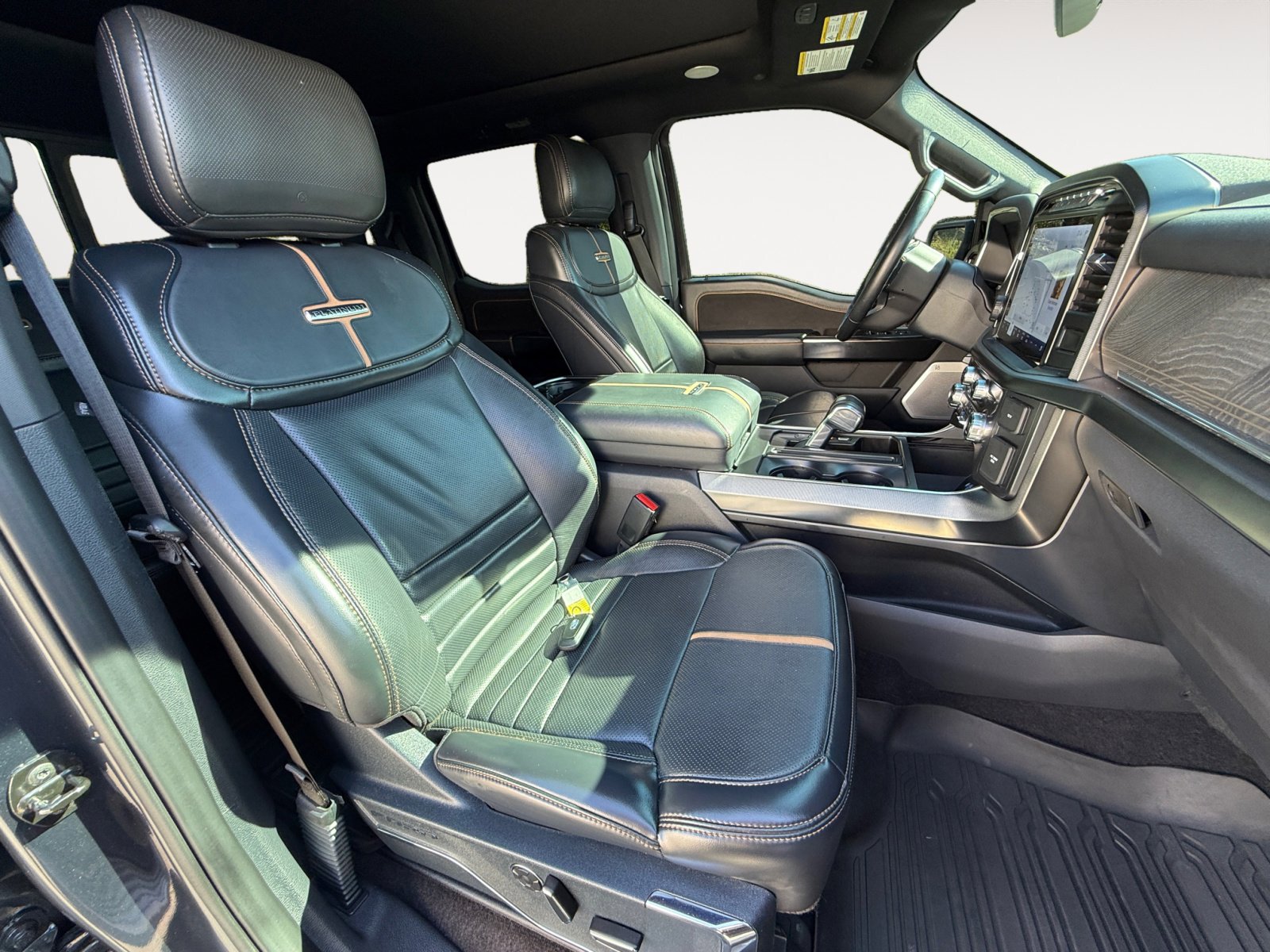 2021 Ford F-150 Platinum photo 19
