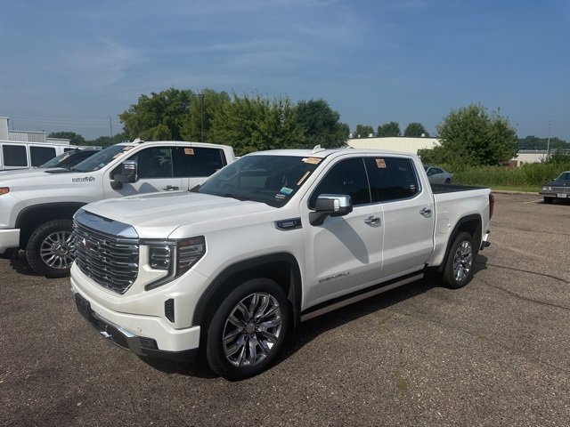 2022 Gmc Sierra 1500 Denali photo 3