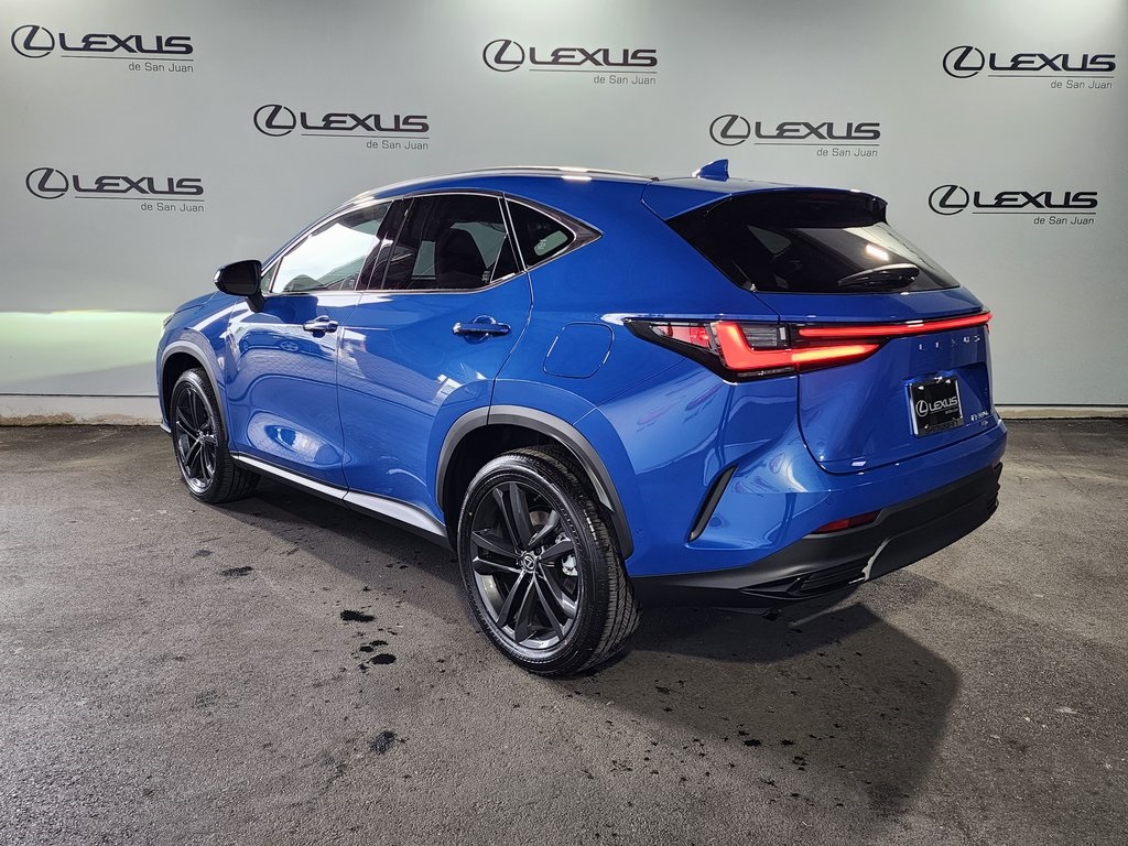 2025 Lexus NX 450h+ Luxury photo 8