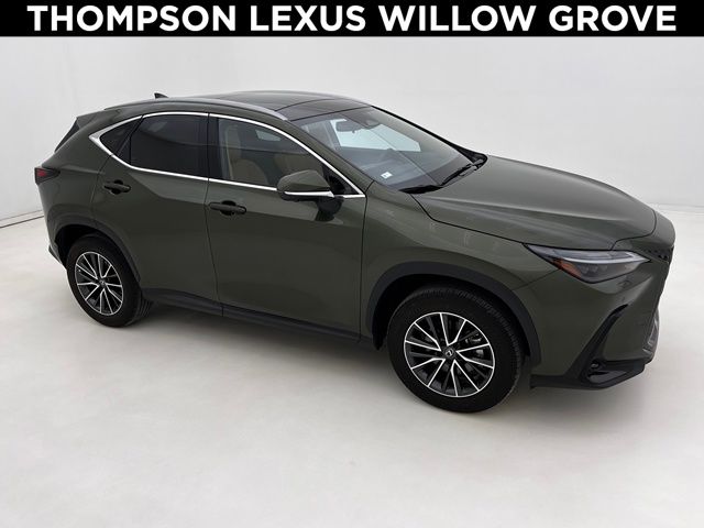 2024 Lexus NX 350's photo