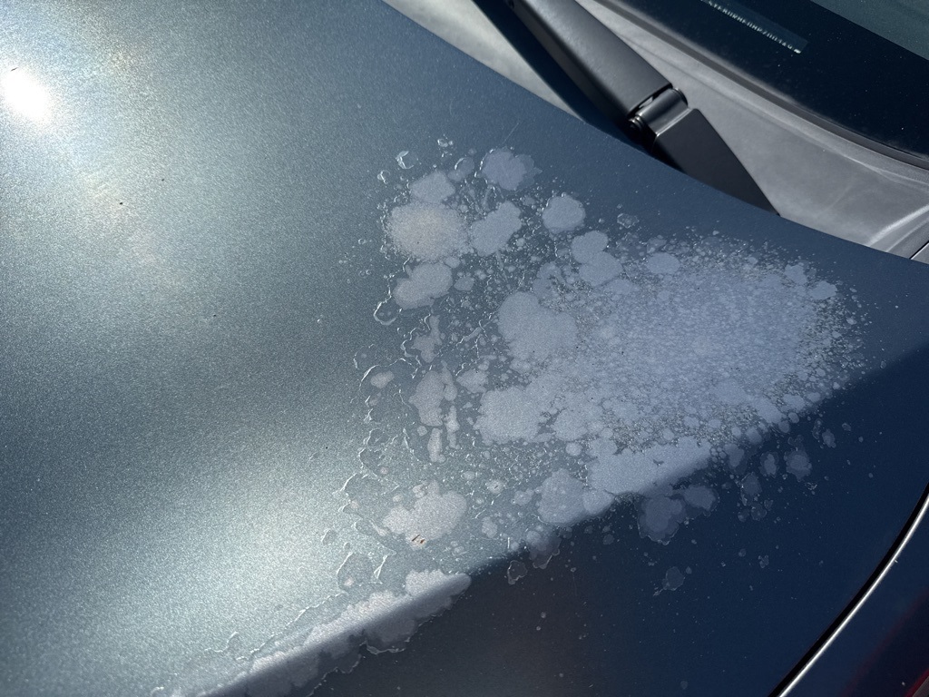 Used 2017 Toyota Corolla LE with VIN 5YFBURHE0HP700149 for sale in Mobile, AL