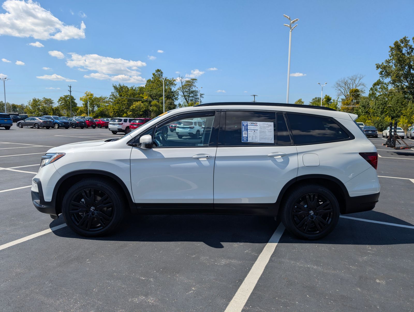 2021 Honda Pilot Black Edition photo 3