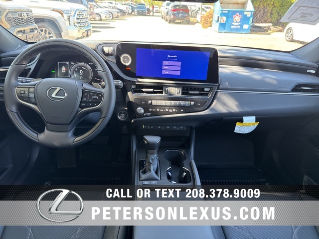 2025 Lexus ES 300h Luxury photo 14