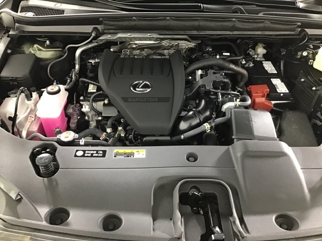 2025 Lexus RX 350 Premium photo 16