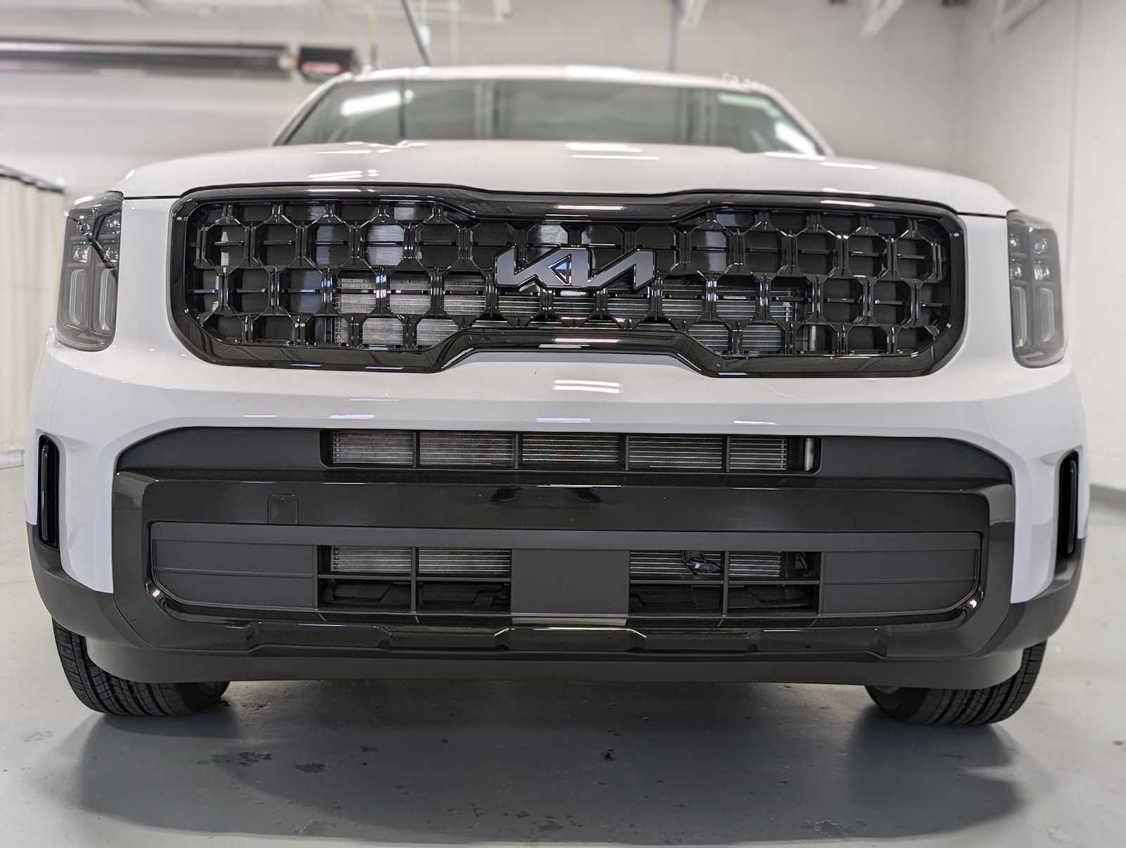 2025 Kia Telluride EX X-Line photo 2