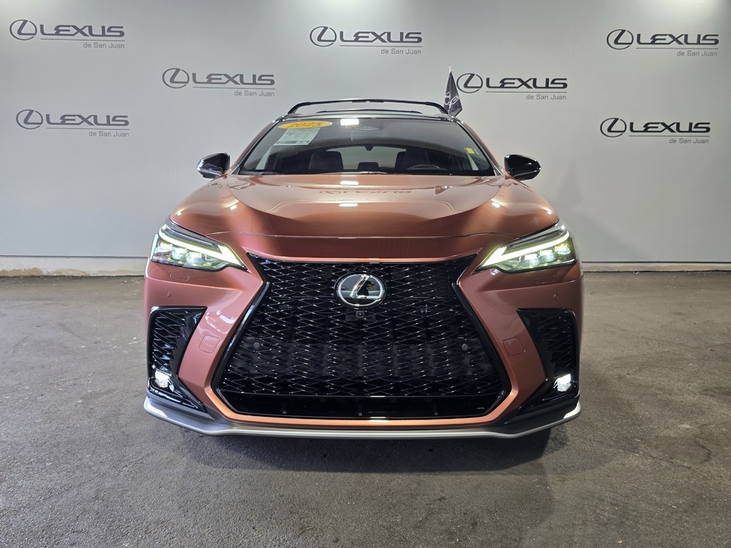 2025 Lexus NX 450h+ F SPORT photo 6
