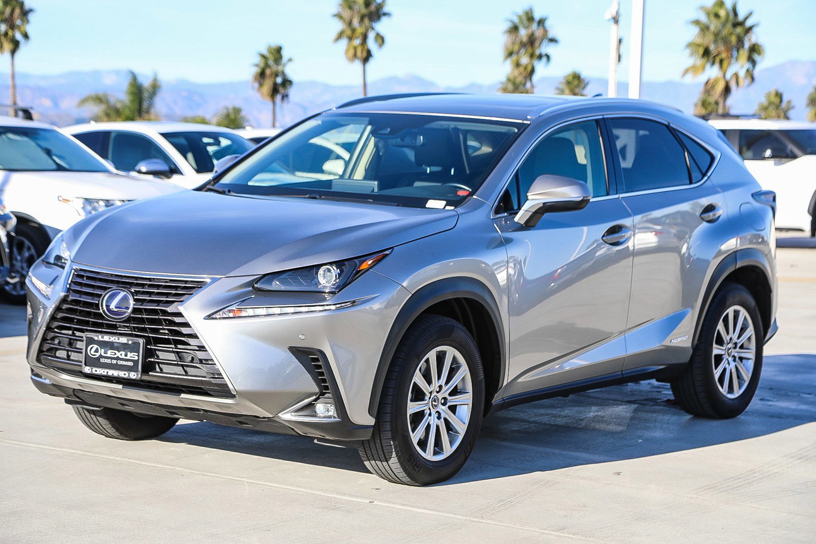 2020 Lexus NX 300h photo 3