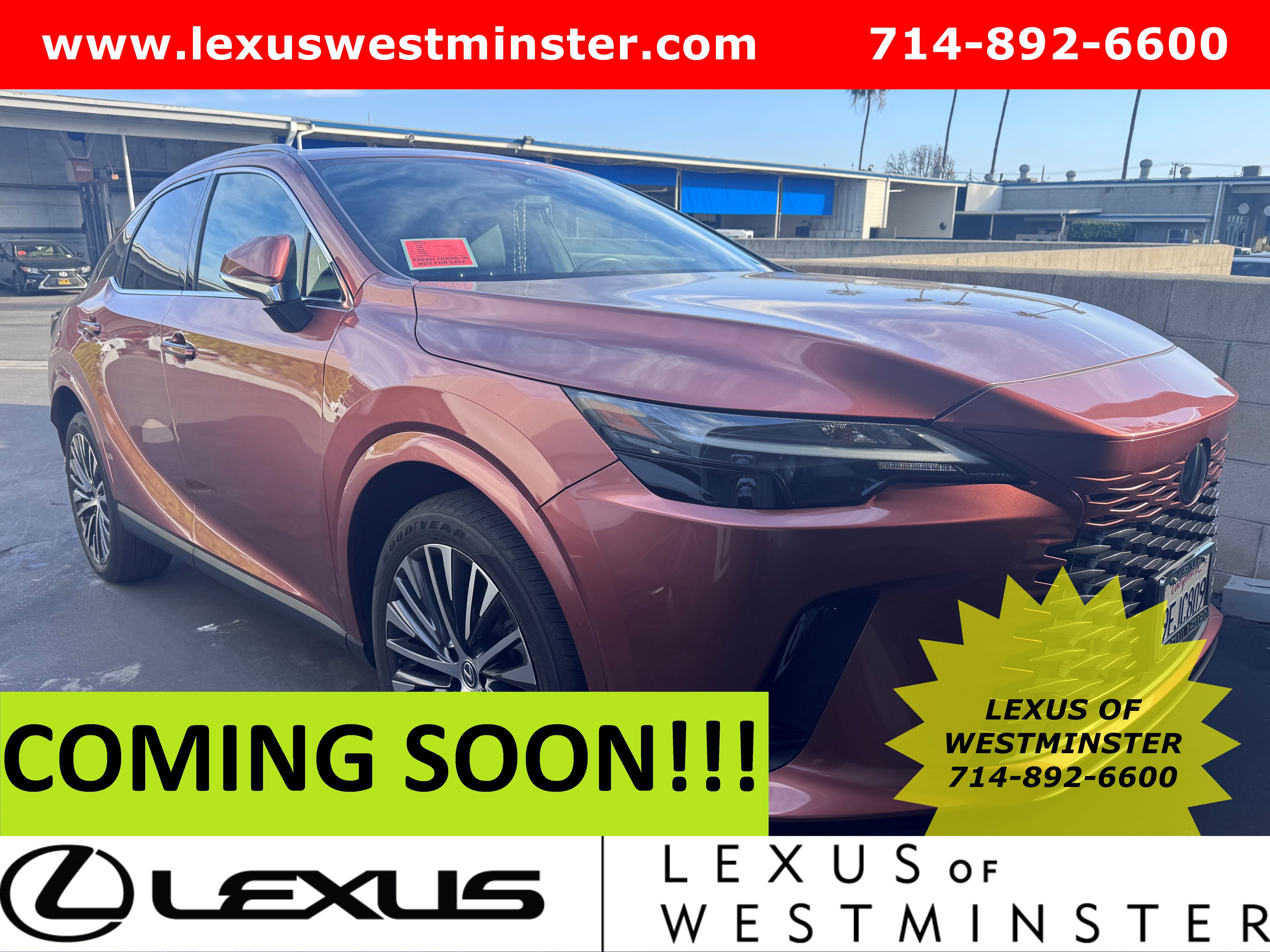 2023 Lexus RX 350's photo