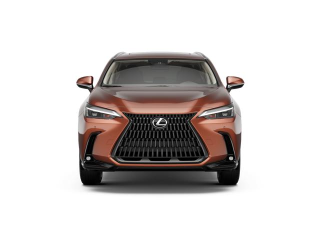 2026 Lexus NX Premium AWD photo 4