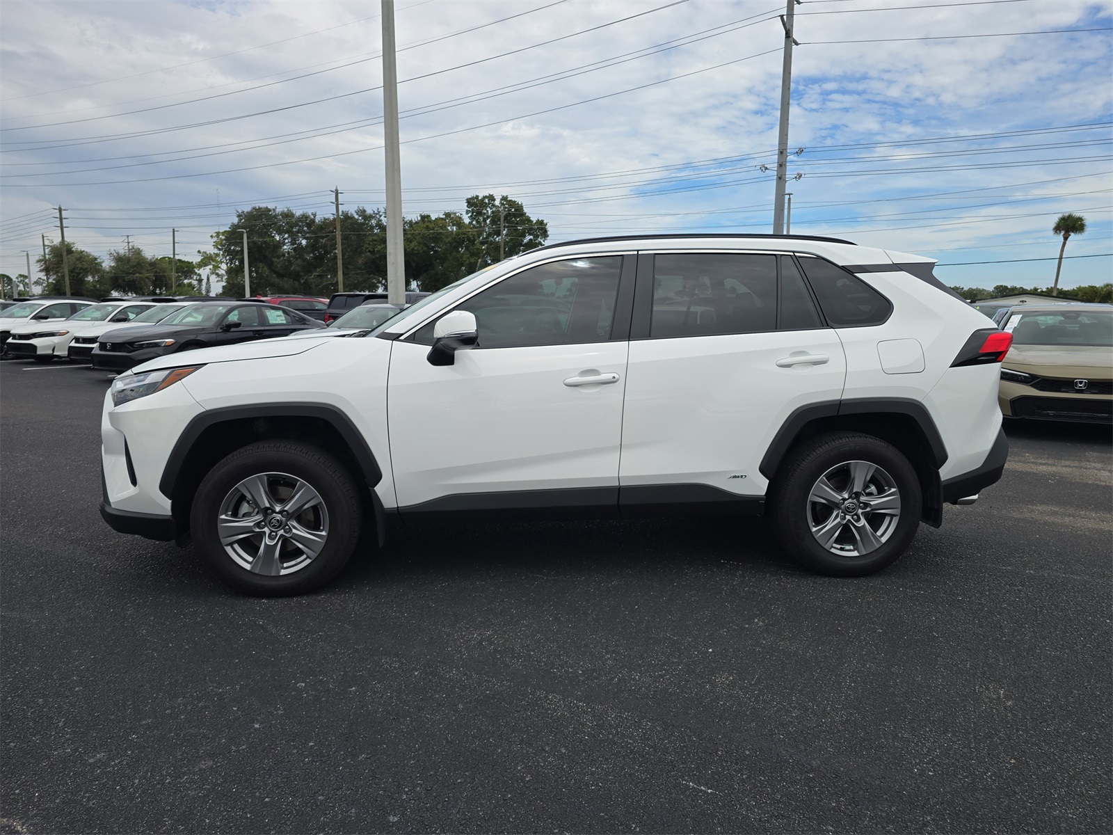 2024 Toyota RAV4 Hybrid XLE photo 5