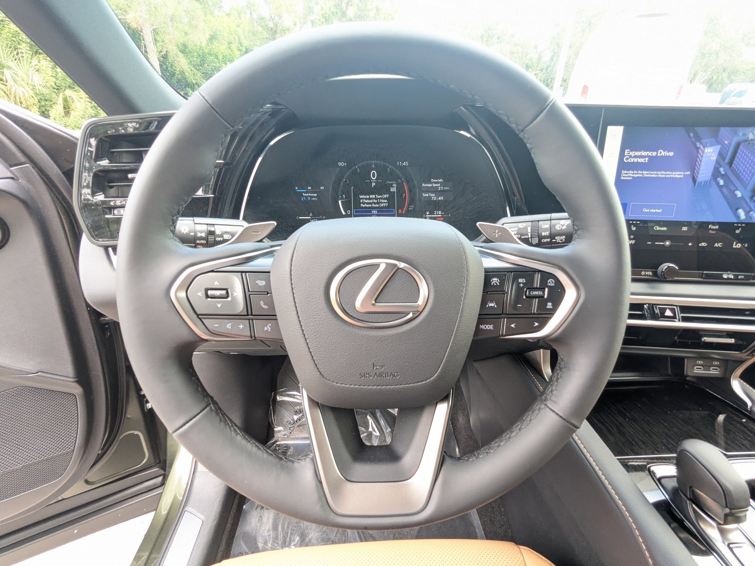 2025 Lexus RX 350 photo 35