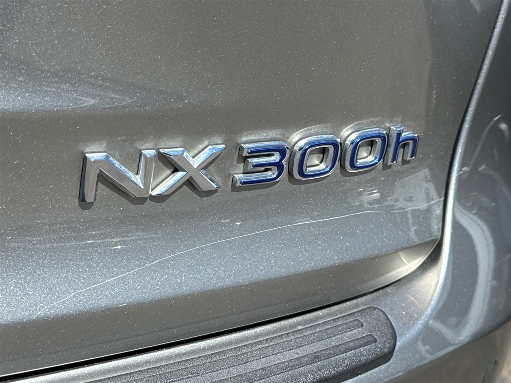 2018 Lexus NX 300h Luxury photo 12