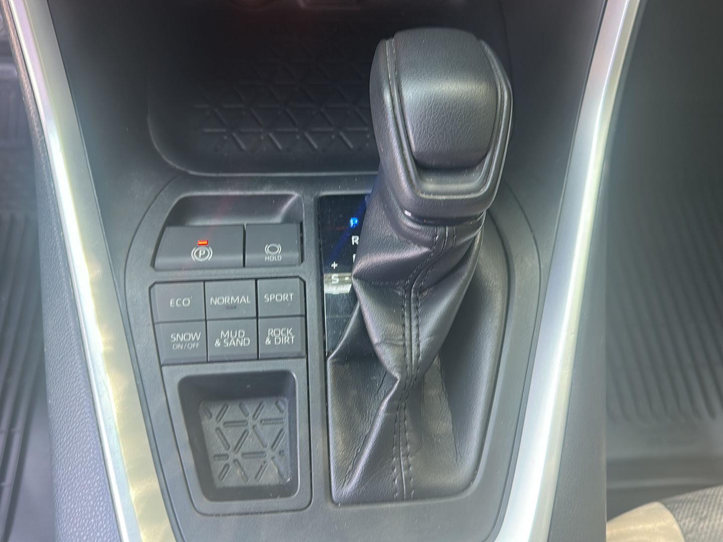 2019 Toyota RAV4 XLE photo 4