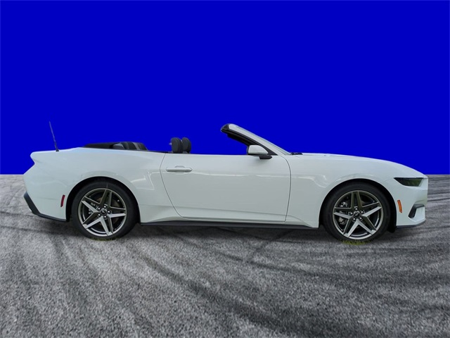 2026 Ford Mustang EcoBoost Convertible photo 3