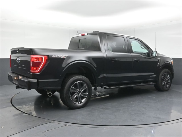 2023 FORD F-150 - Image 7