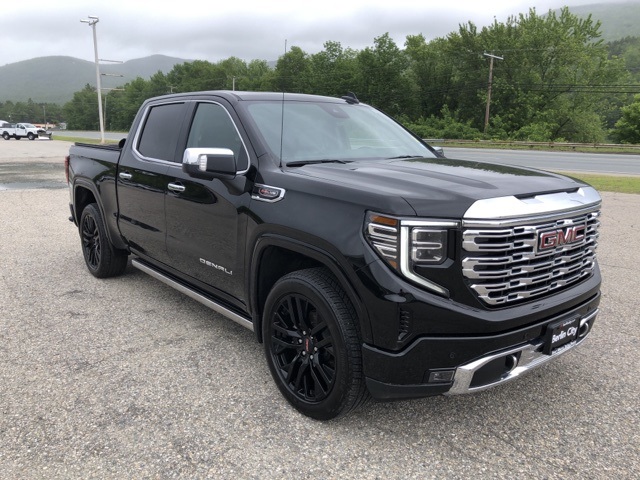 2024 Gmc Sierra 1500 Denali photo 9