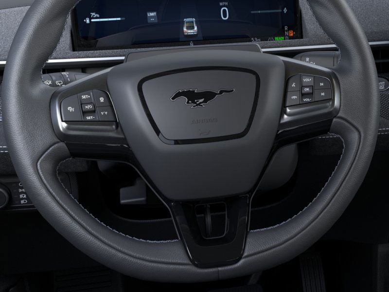 2025 Ford Mustang Mach-E GT photo 11