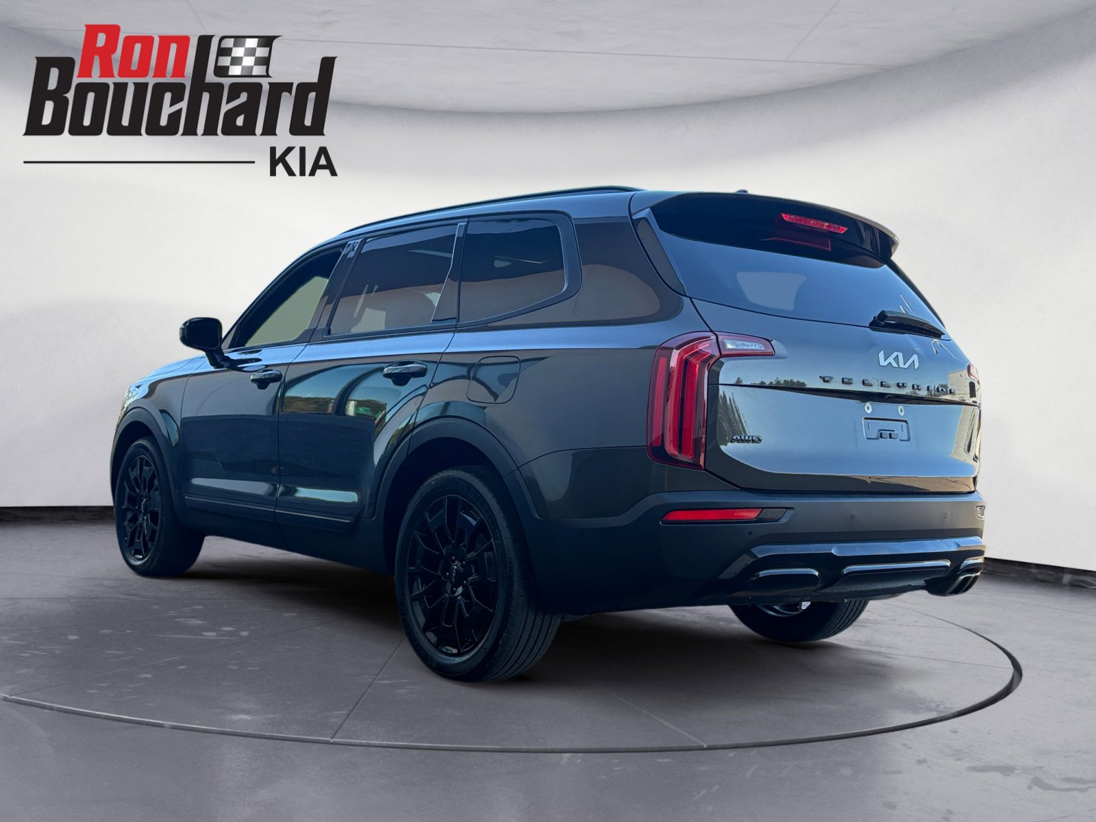 2022 Kia Telluride SX photo 4
