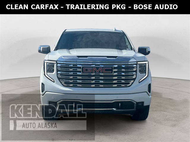 2024 Gmc Sierra 1500 Denali photo 8