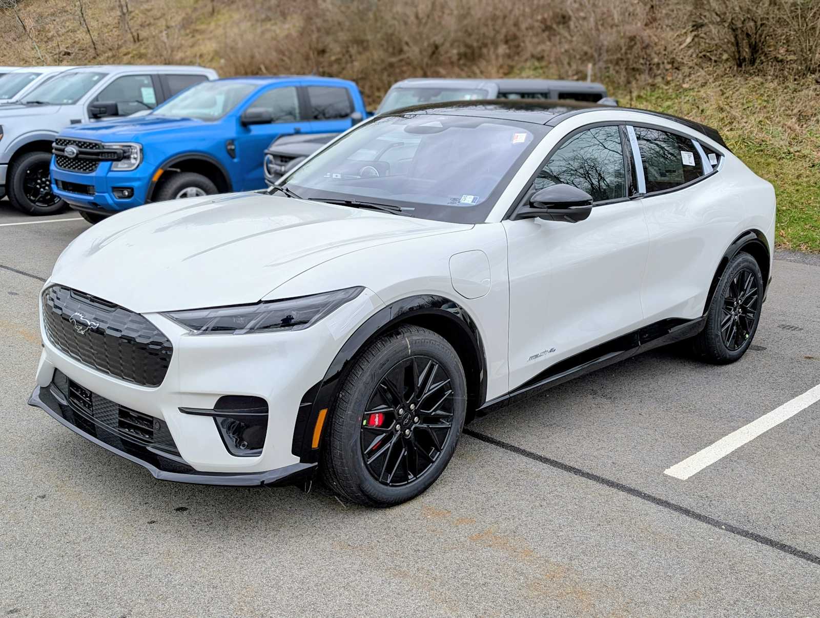 2025 Ford Mustang Mach-E Premium AWD's photo