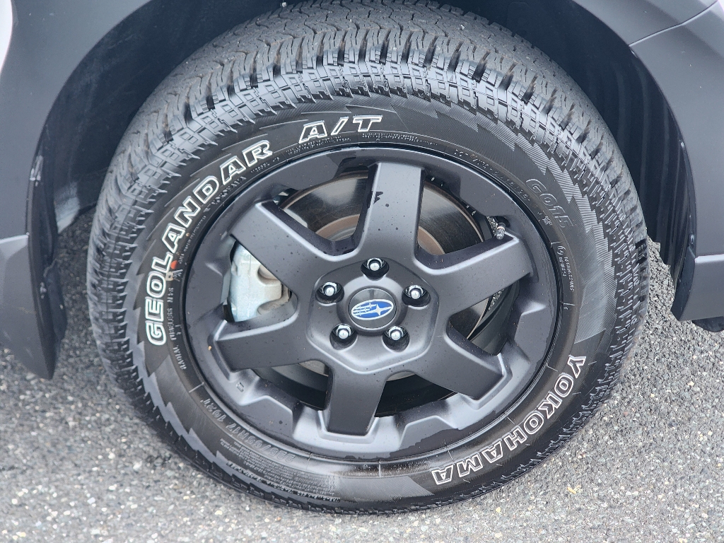 2025 Subaru Outback Wilderness photo 4