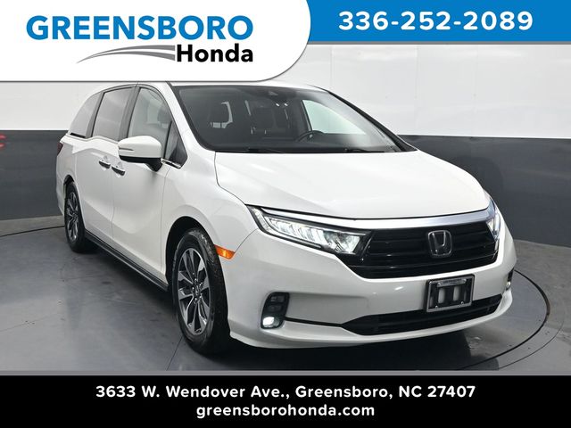 2024 Honda Odyssey EX-L's photo