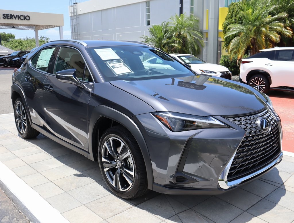 2025 Lexus UX photo 15