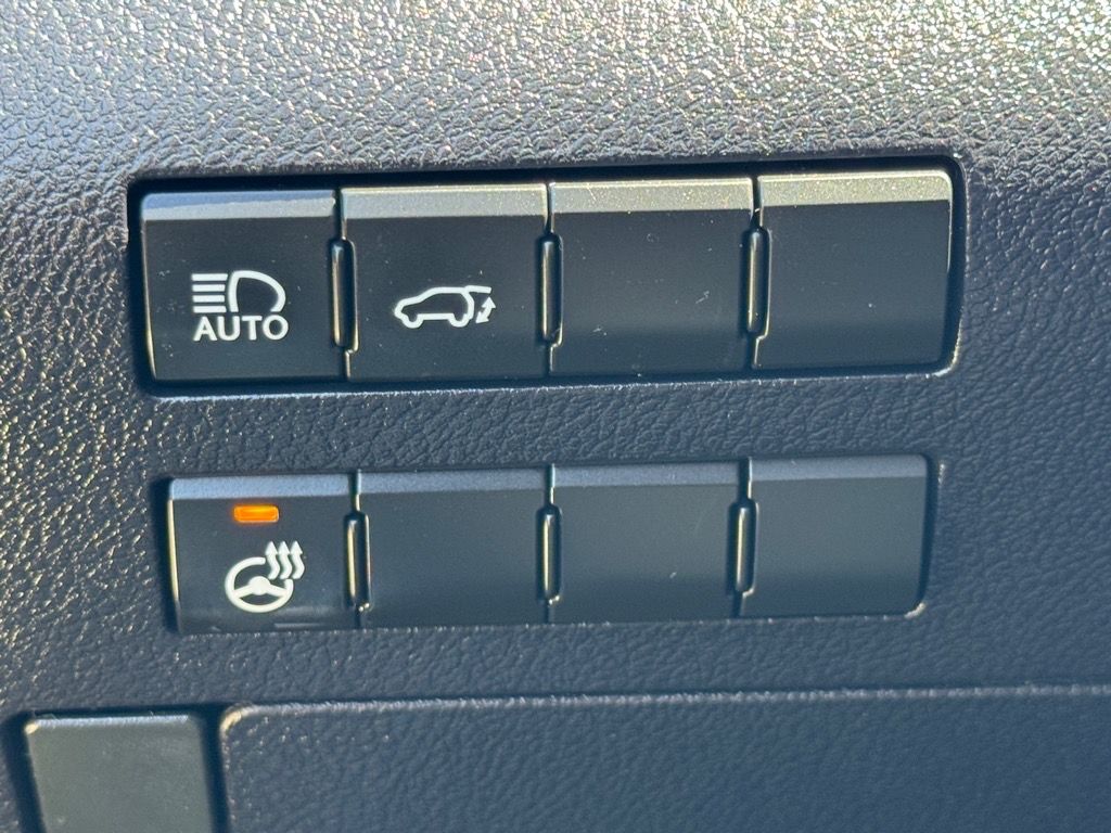 2021 Lexus RX Premium photo 19