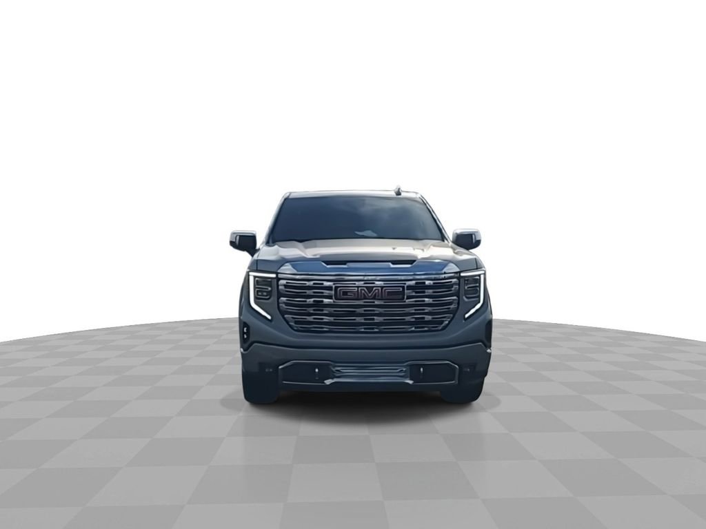 2025 Gmc Sierra 1500 Denali photo 3