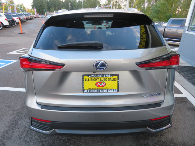 2020 Lexus NX 300h Premium photo 4