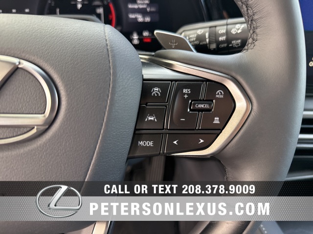 2025 Lexus RX 350 Premium photo 24