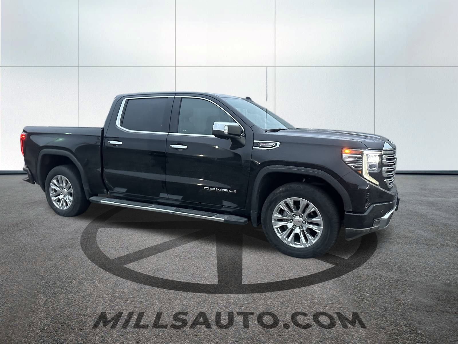 2024 Gmc Sierra 1500 Denali photo 2