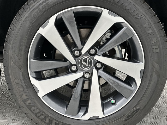 2020 Lexus NX 300 Premium photo 2