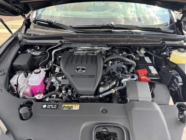 2025 Lexus RX 350 Premium photo 41