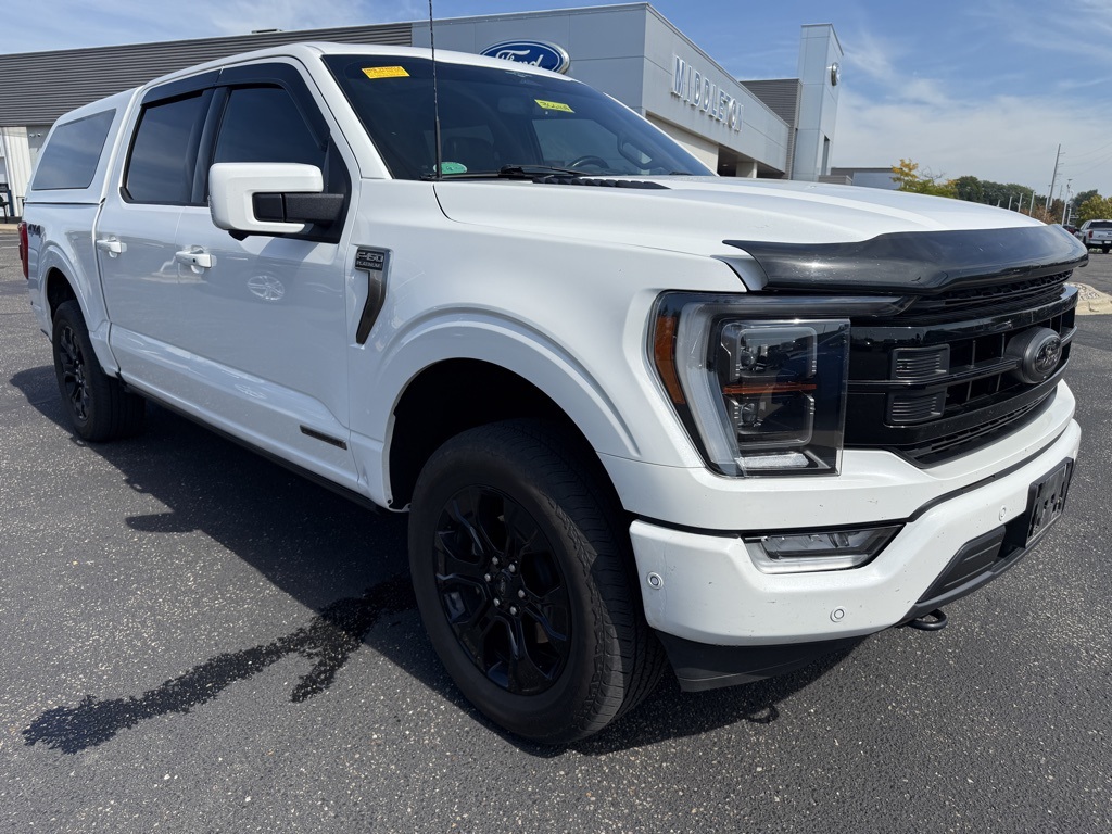 2023 Ford F-150 Platinum photo 17