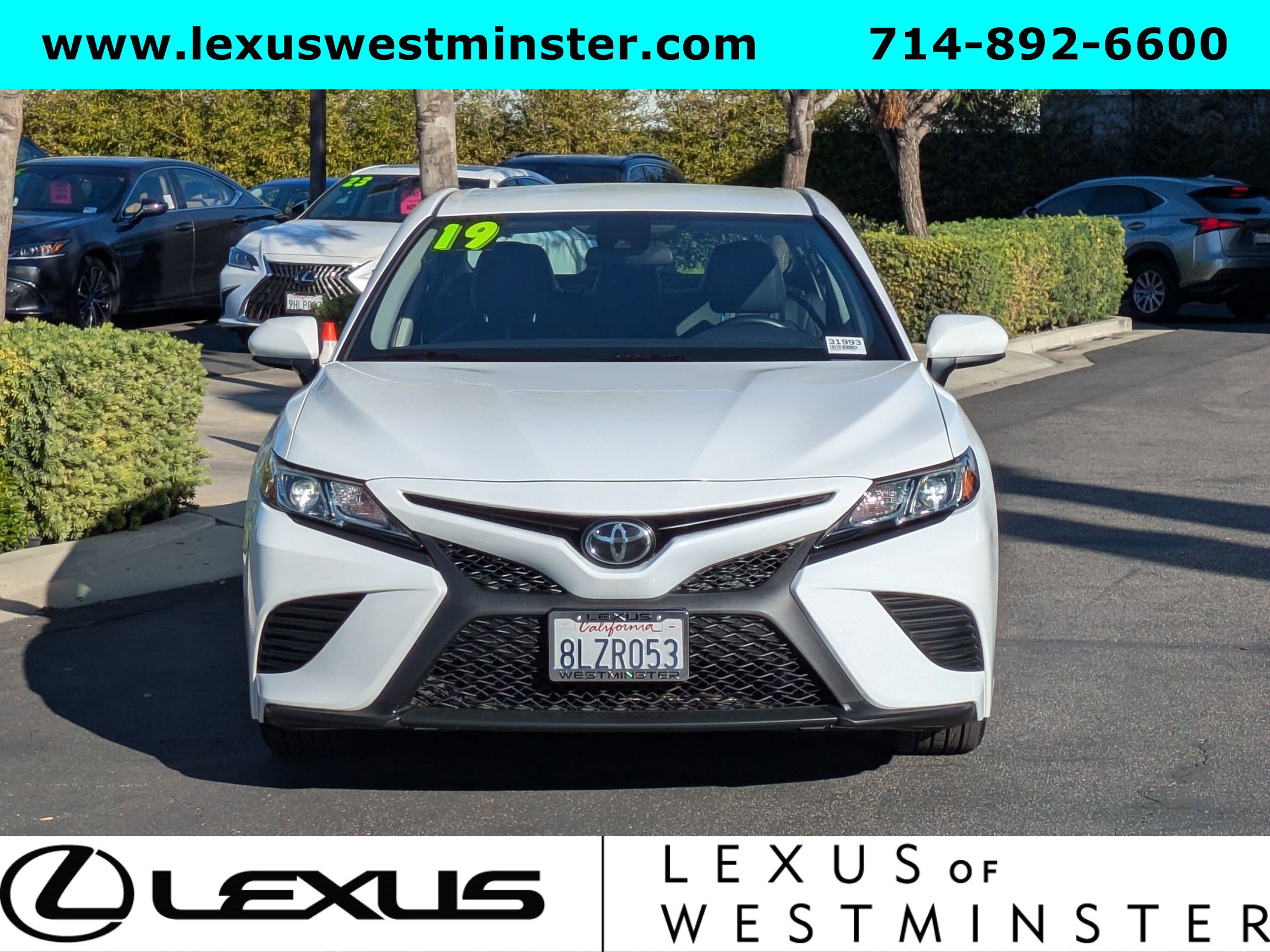 2019 Toyota Camry SE XLE photo 2