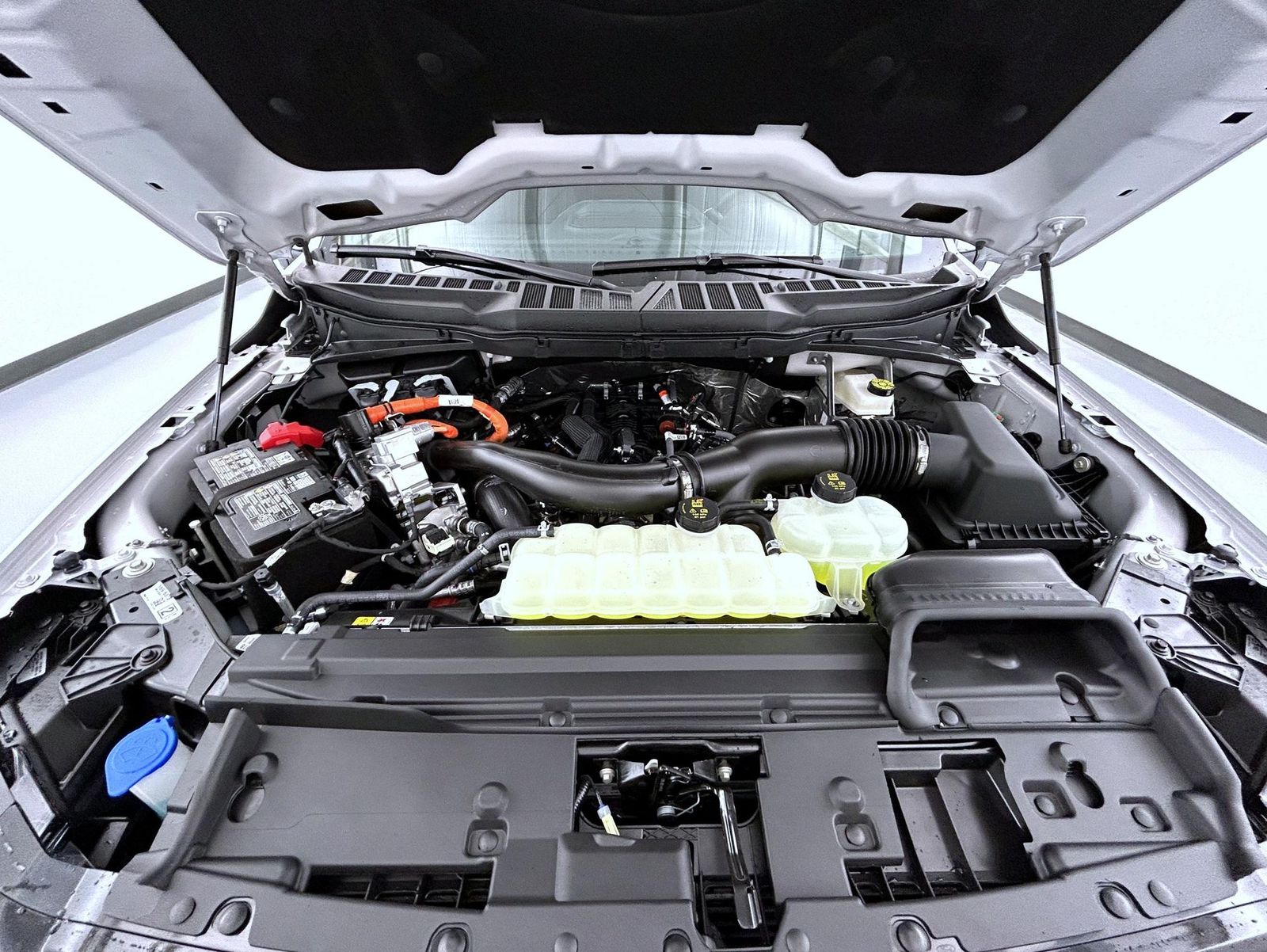 2025 Ford F-150 XLT photo 23