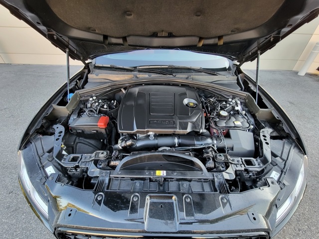 2025 Jaguar F-PACE R-Dynamic S photo 11
