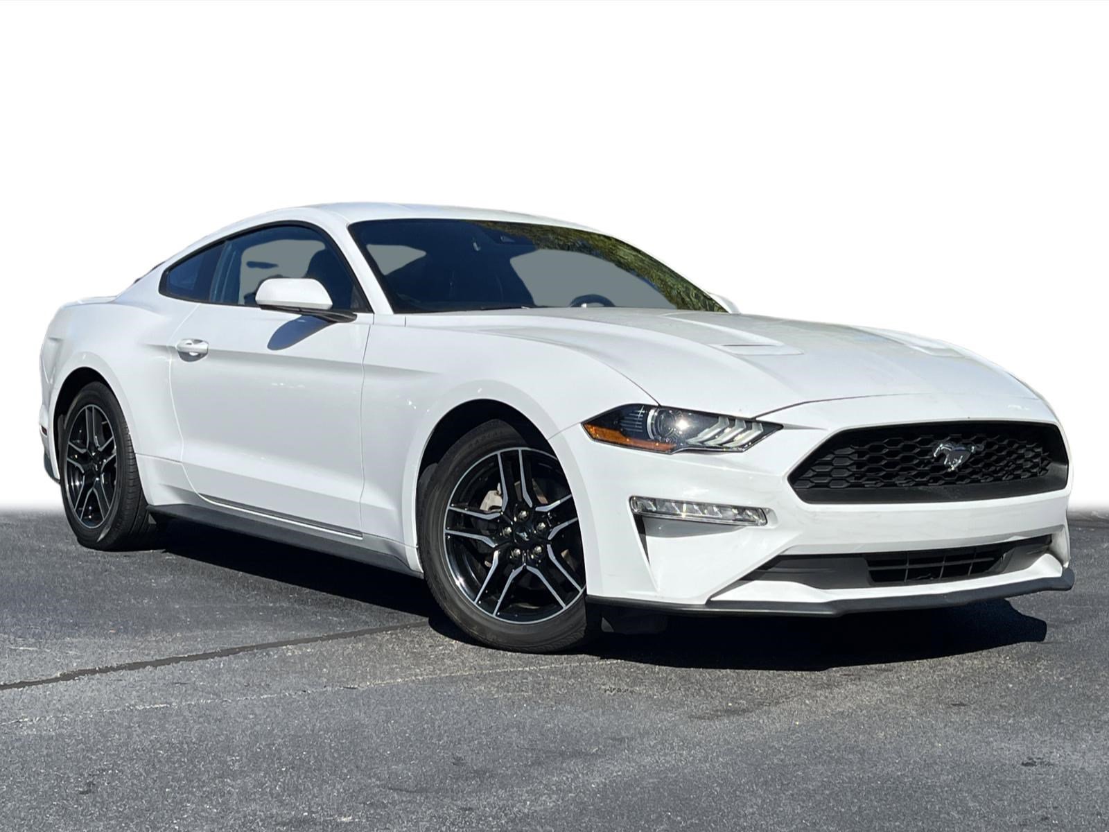 2023 Ford Mustang EcoBoost Premium photo 2