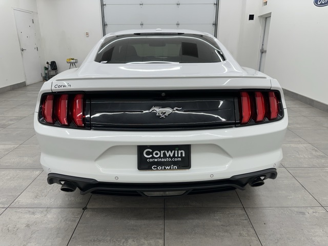 2019 Ford Mustang EcoBoost Premium photo 3