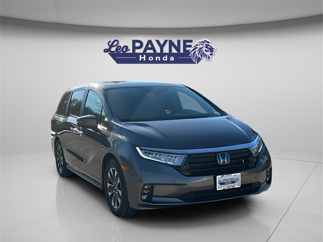 2022 Honda Odyssey EX-L's photo