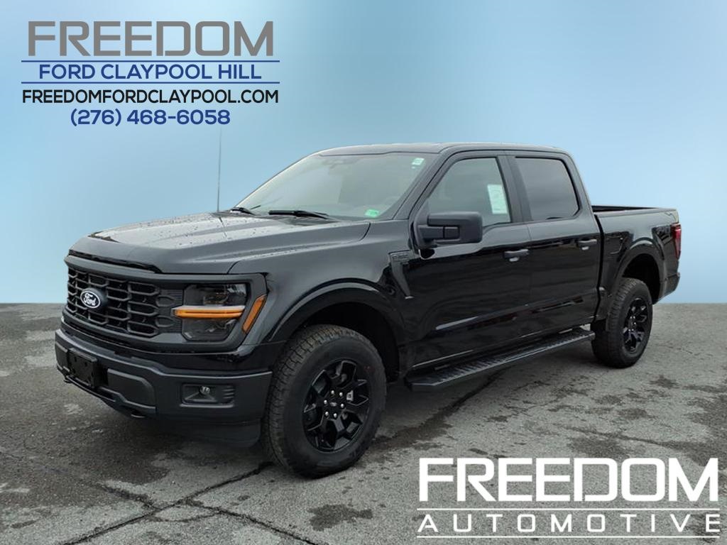 2025 Ford F-150 STX's photo